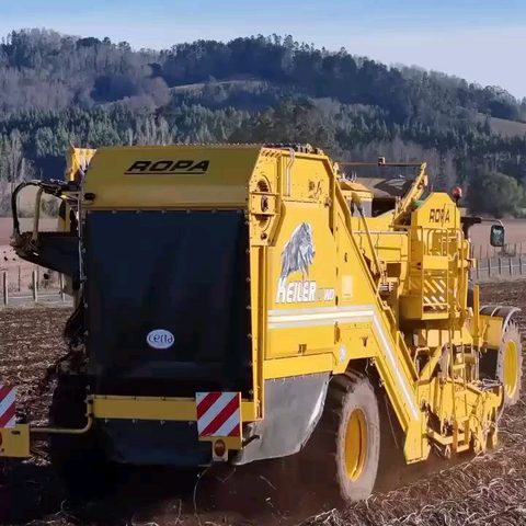 ROPA Keiler II cosechando papas